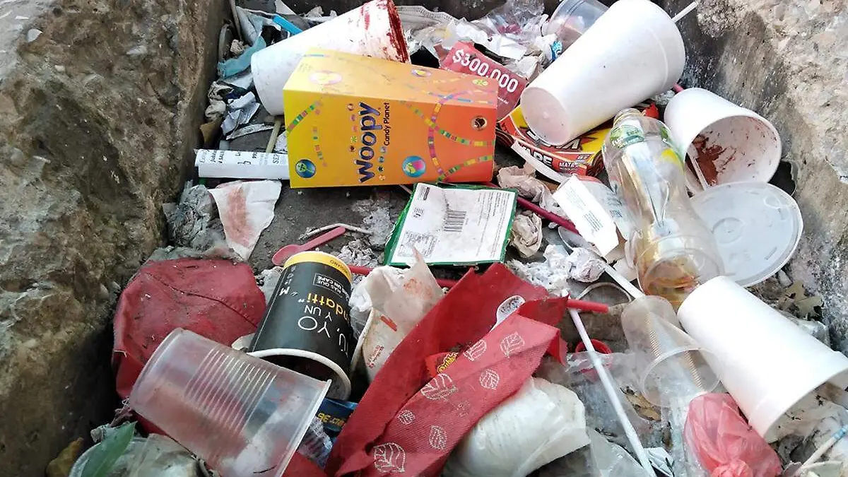 Basura copia